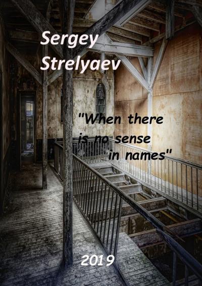 Книга When there is no sense in names (Sergey Strelyaev)